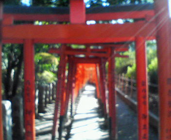 mb_0113023950.jpg 352��288 22K